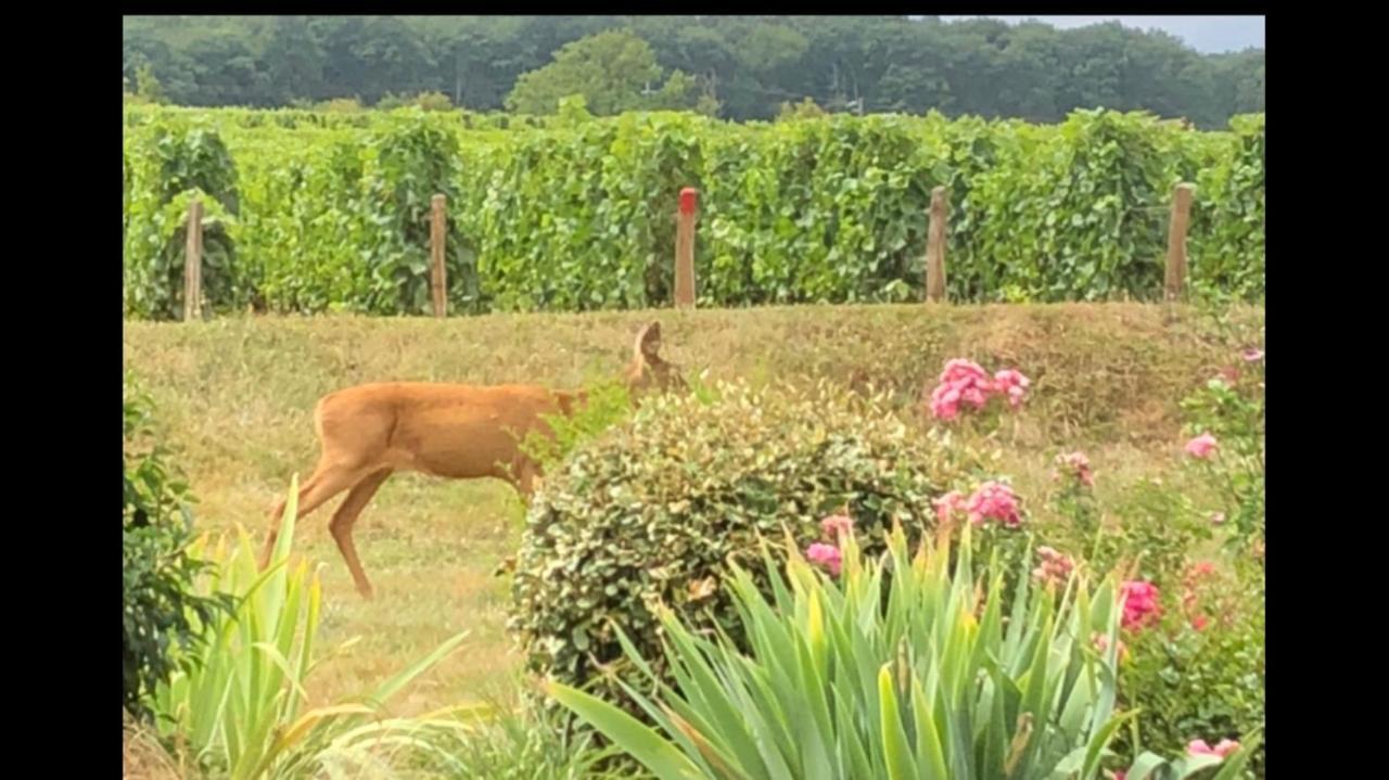 Avre De Paix Sancerrois Thauvenay Exterior foto